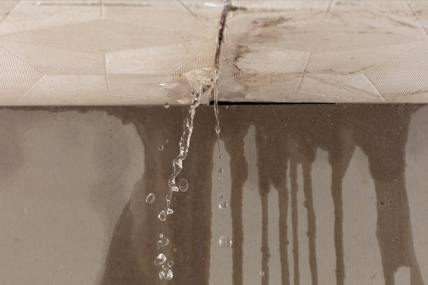 Professional Burst Pipe Cleanup technician working in Yorkshire, OH